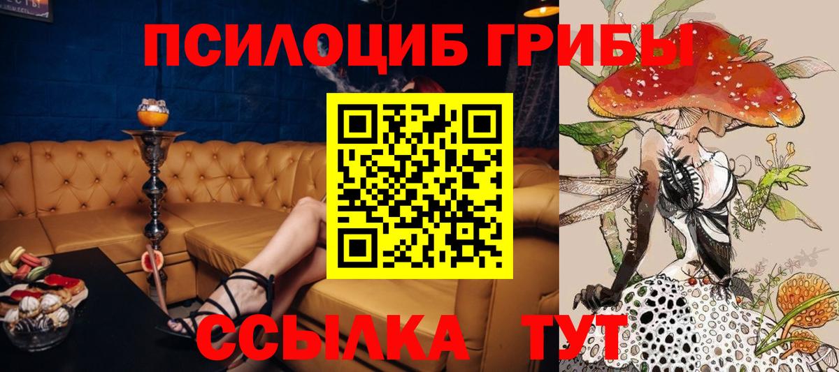 Лениногорск  Псилоцибиновые грибы Cubensis  Вход с VPN 